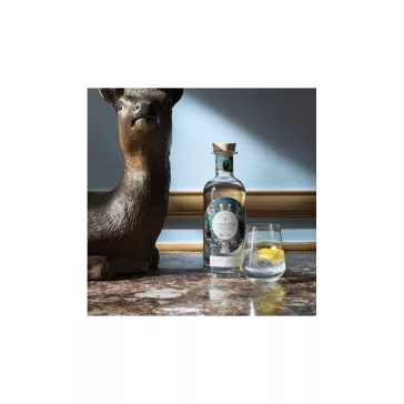 GINETIC BLANC GRY GIN 40% 0,7 L