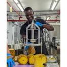 ROSEMONT ANANAS RUM 40% 0,7 L